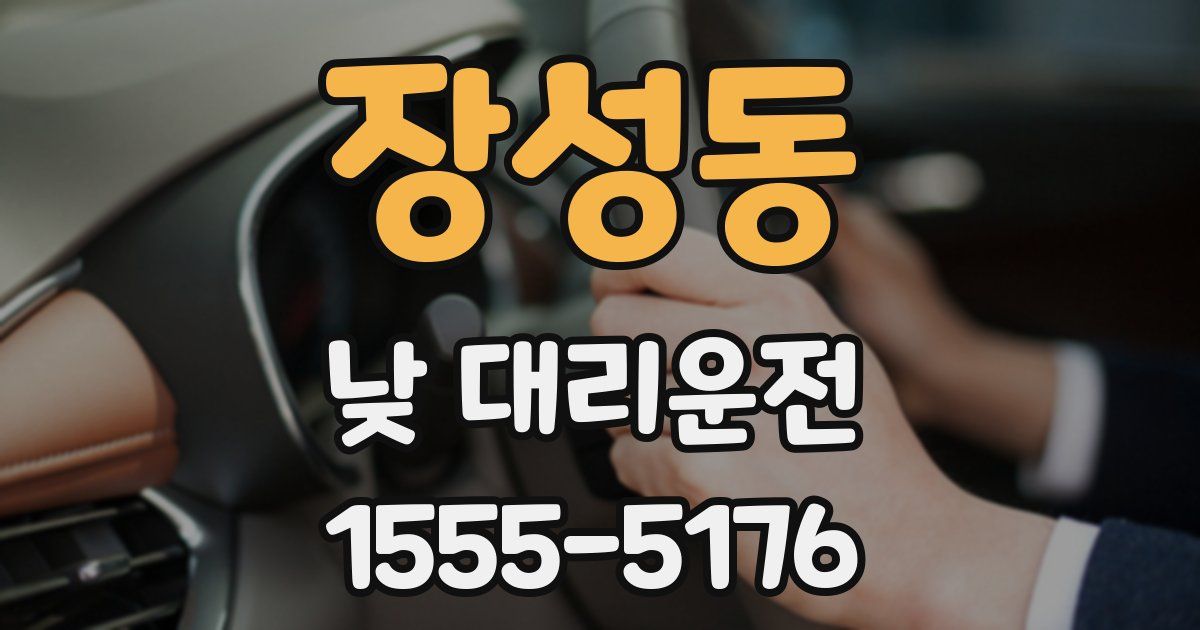 장성동 낮 대리운전