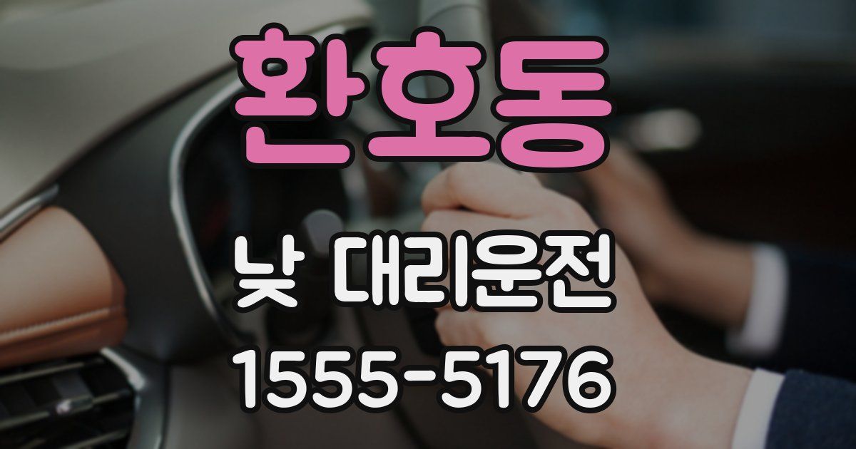환호동 낮 대리운전