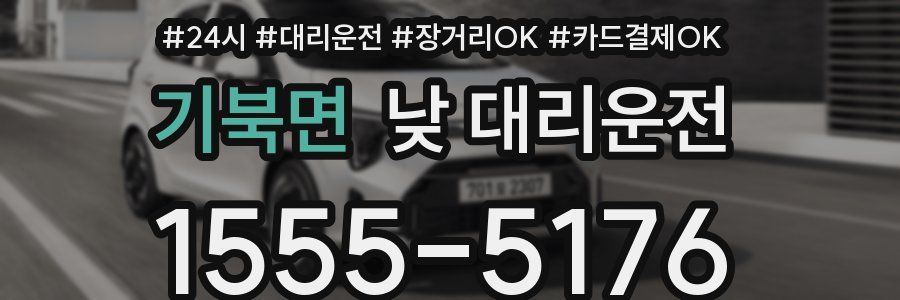 기북면 낮 대리운전