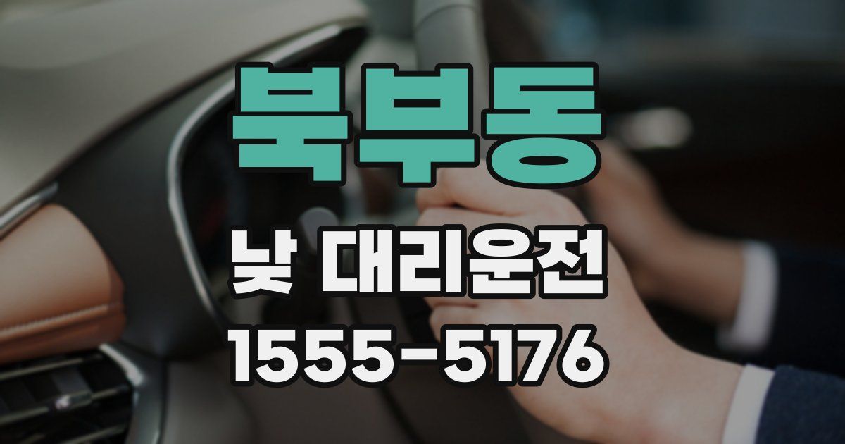 북부동 낮 대리운전