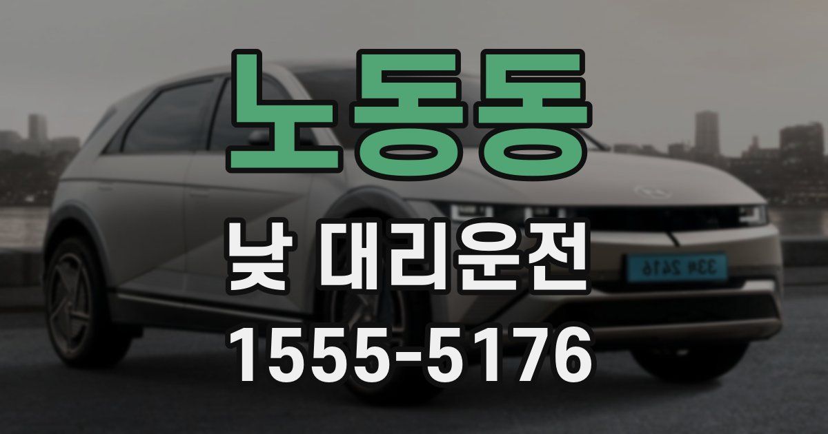 노동동 낮 대리운전
