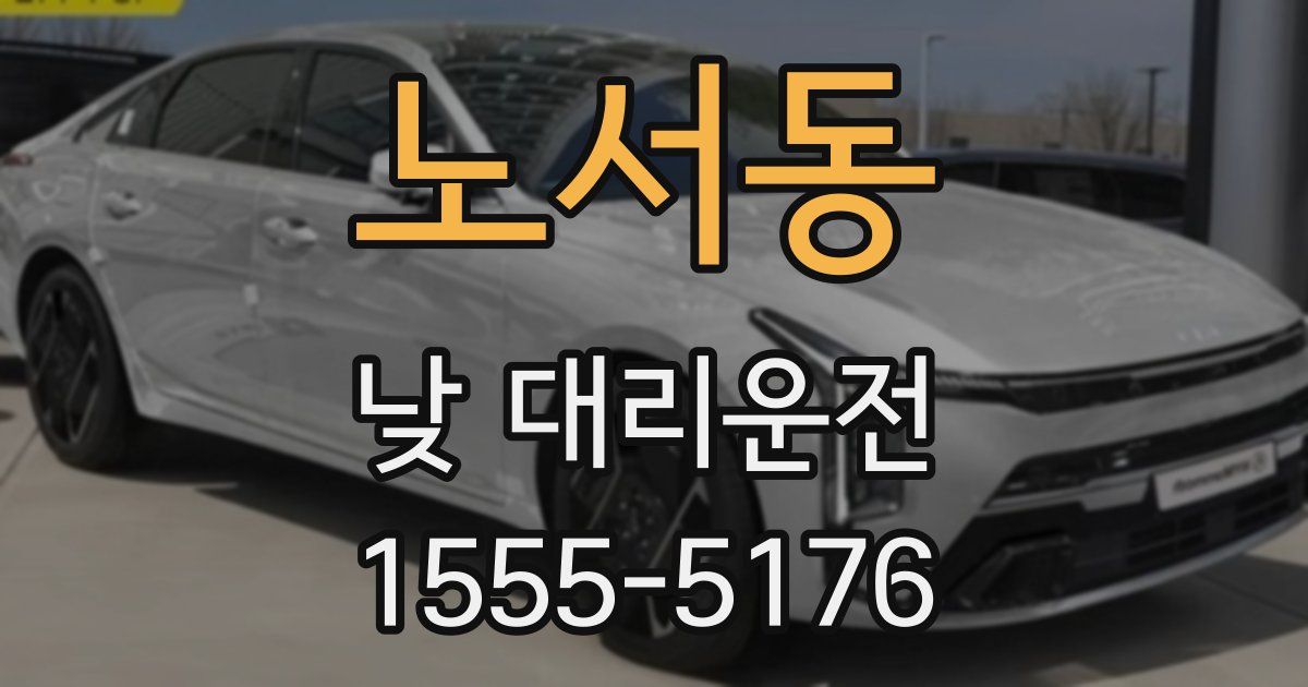 노서동 낮 대리운전