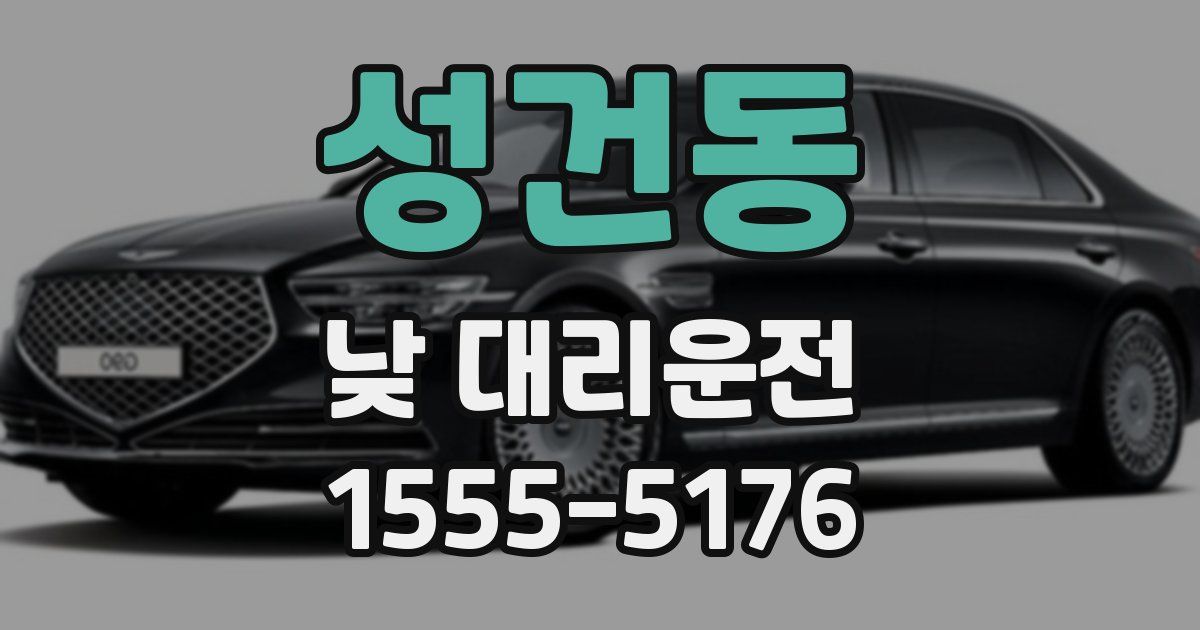 성건동 낮 대리운전