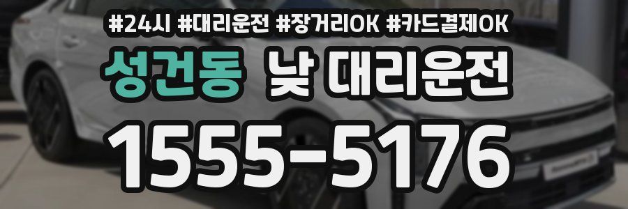 성건동 낮 대리운전