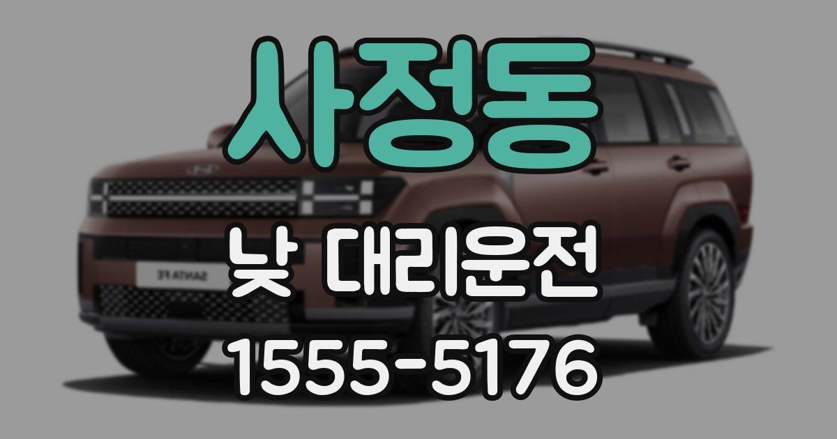 사정동 낮 대리운전