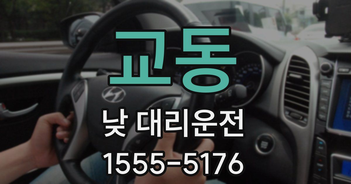 교동 낮 대리운전