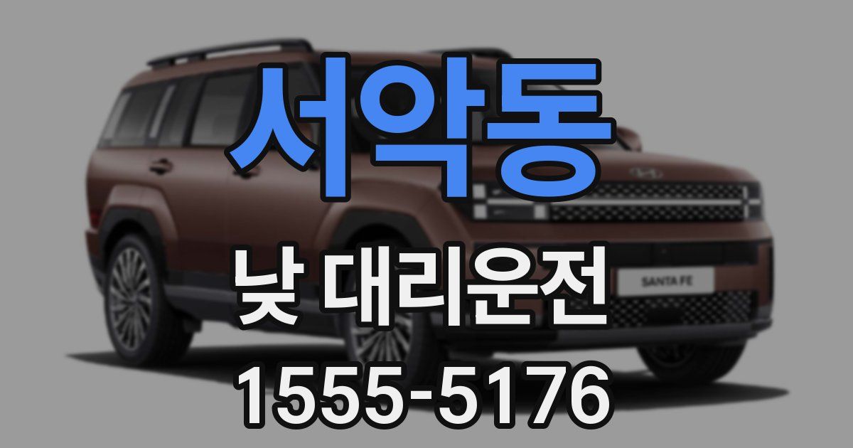 서악동 낮 대리운전