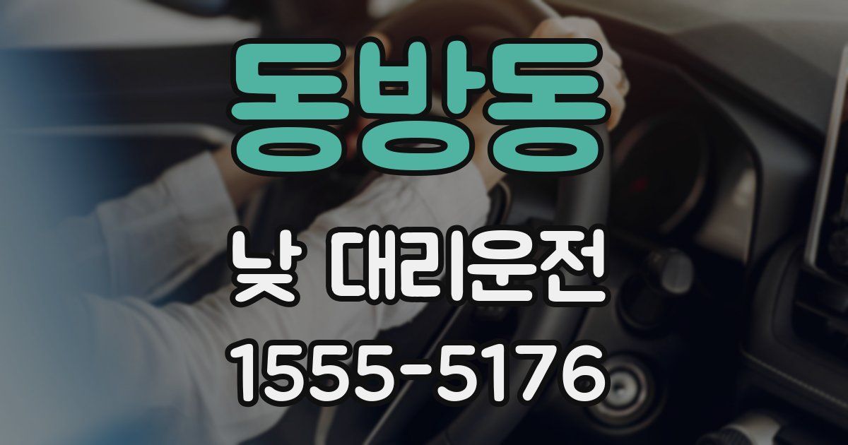 동방동 낮 대리운전