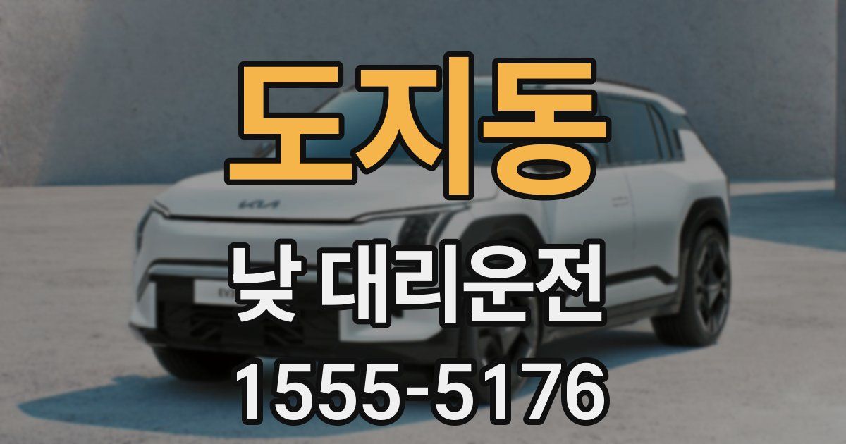 도지동 낮 대리운전