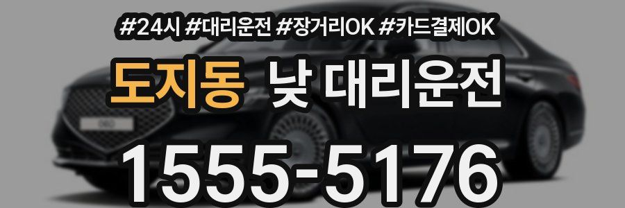 도지동 낮 대리운전