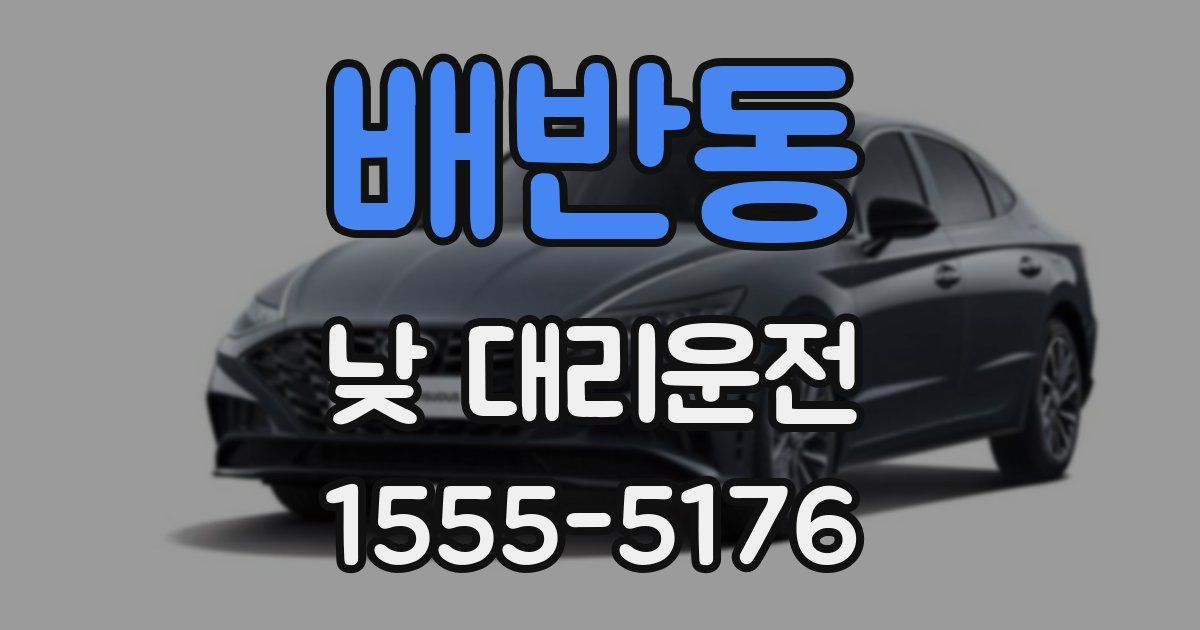 배반동 낮 대리운전
