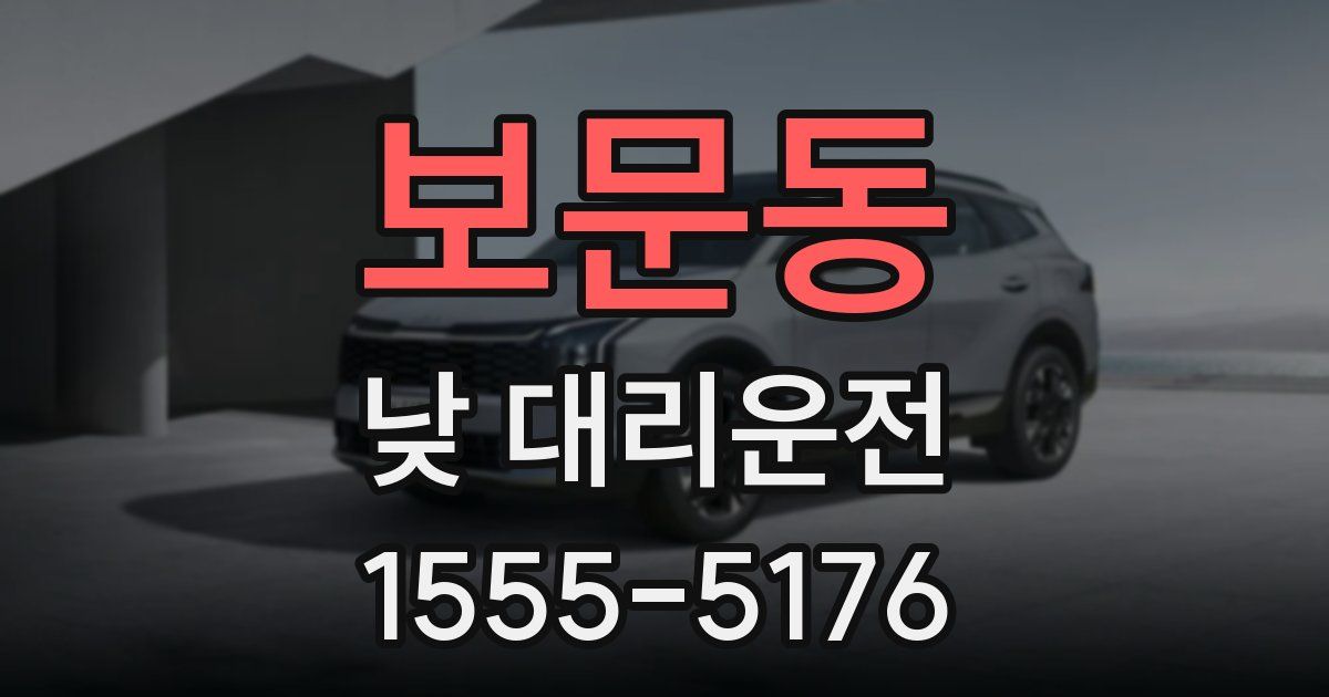 보문동 낮 대리운전