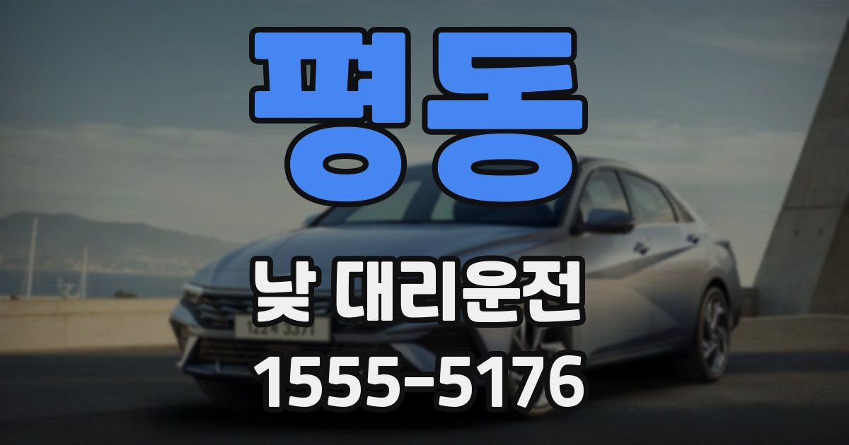 평동 낮 대리운전