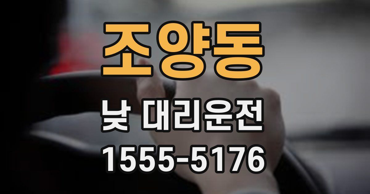 조양동 낮 대리운전