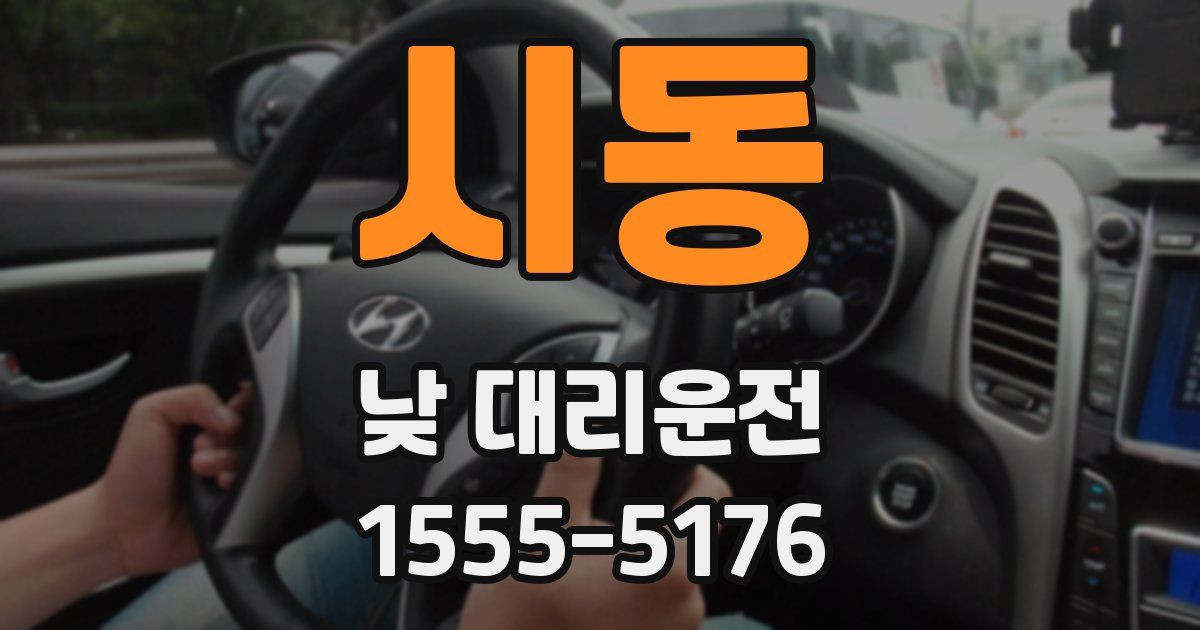 시동 낮 대리운전