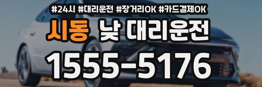 시동 낮 대리운전