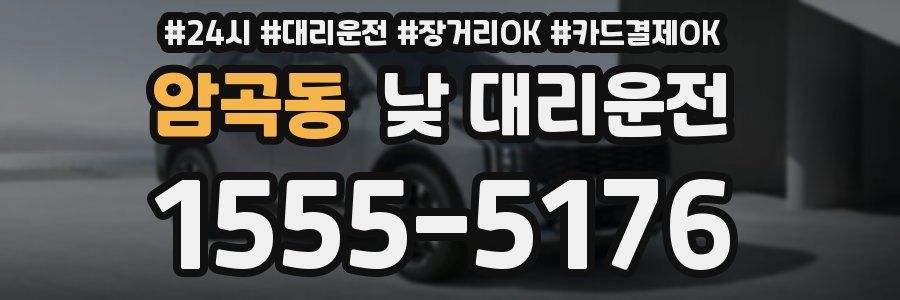 암곡동 낮 대리운전