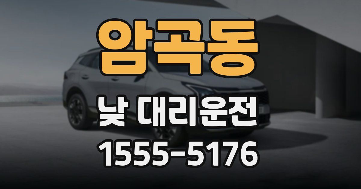 암곡동 낮 대리운전