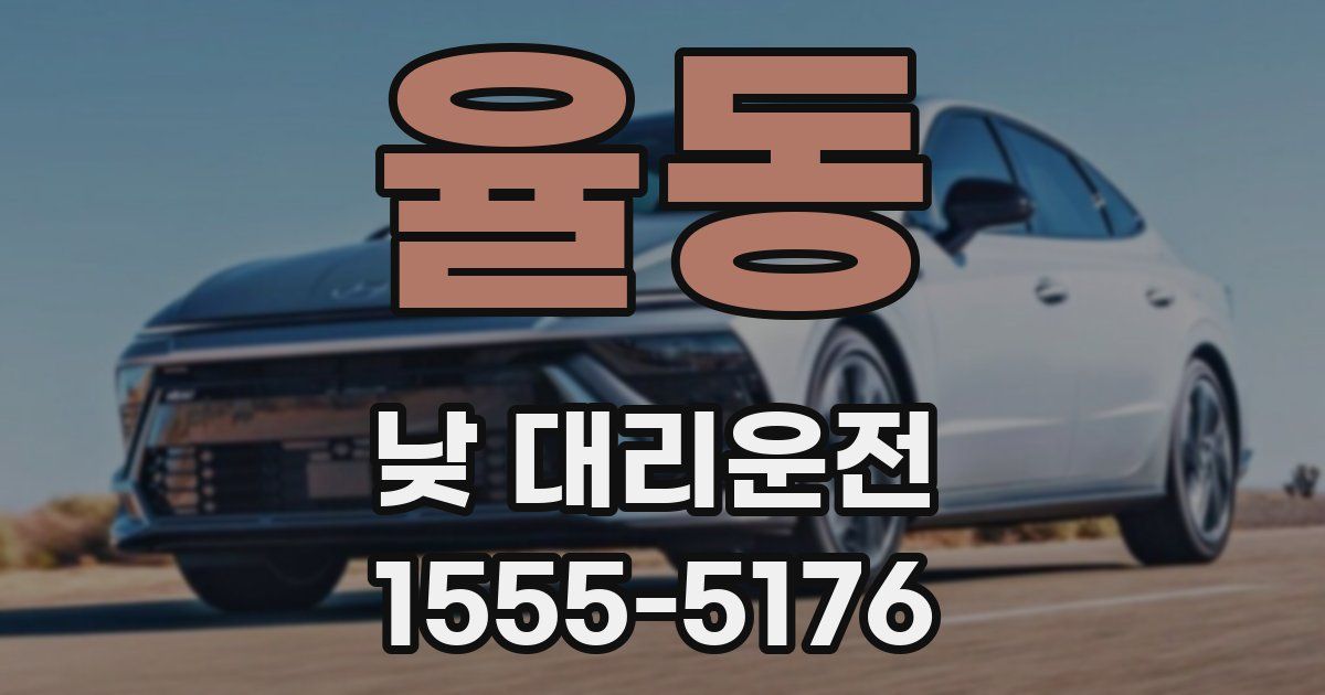 율동 낮 대리운전