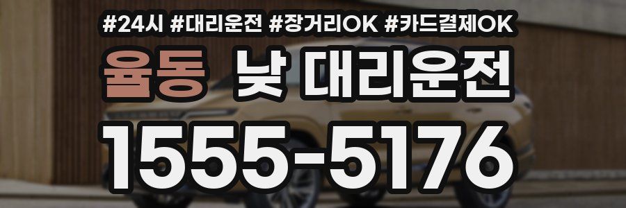 율동 낮 대리운전