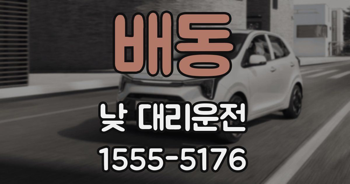 배동 낮 대리운전