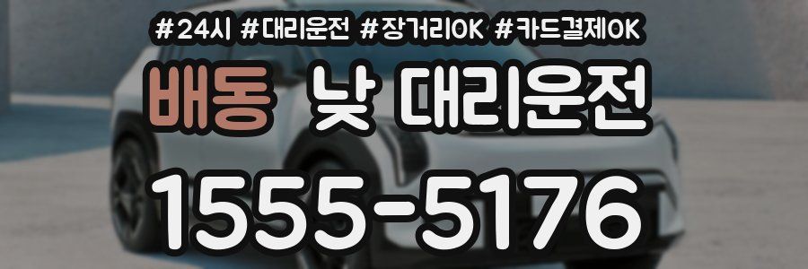 배동 낮 대리운전
