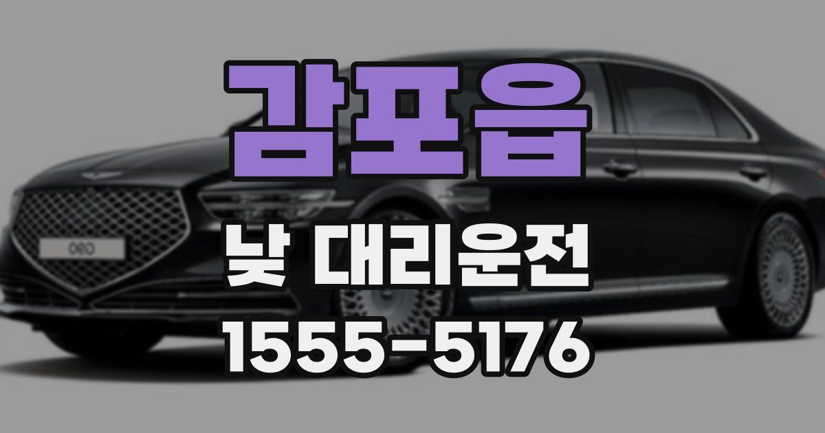 감포읍 낮 대리운전