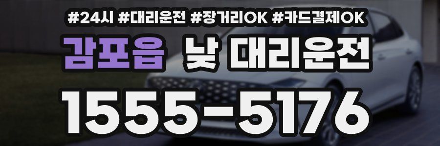 감포읍 낮 대리운전