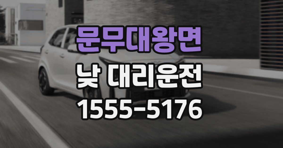 문무대왕면 낮 대리운전