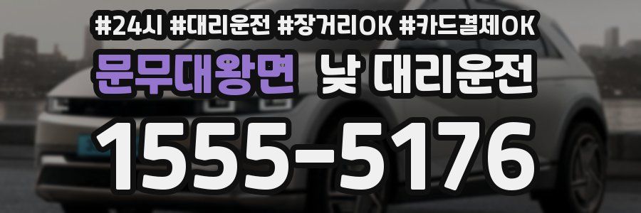 문무대왕면 낮 대리운전