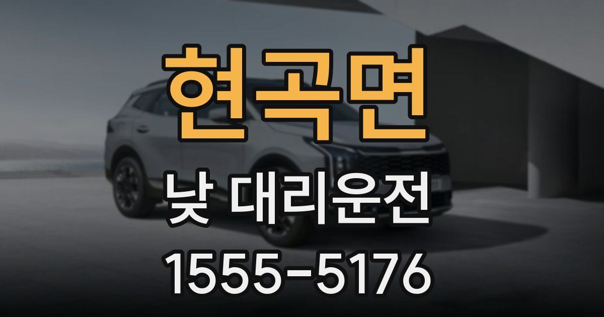 현곡면 낮 대리운전