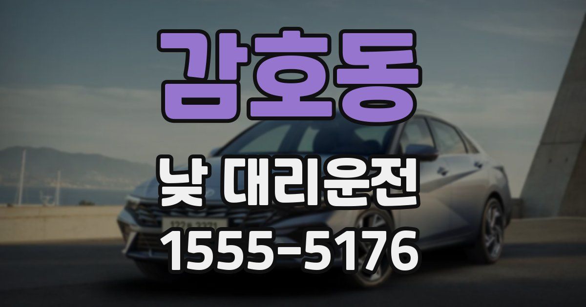 감호동 낮 대리운전