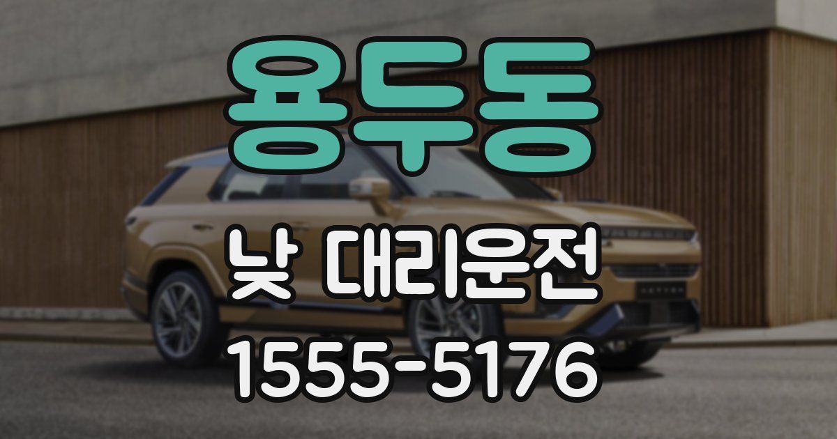 용두동 낮 대리운전