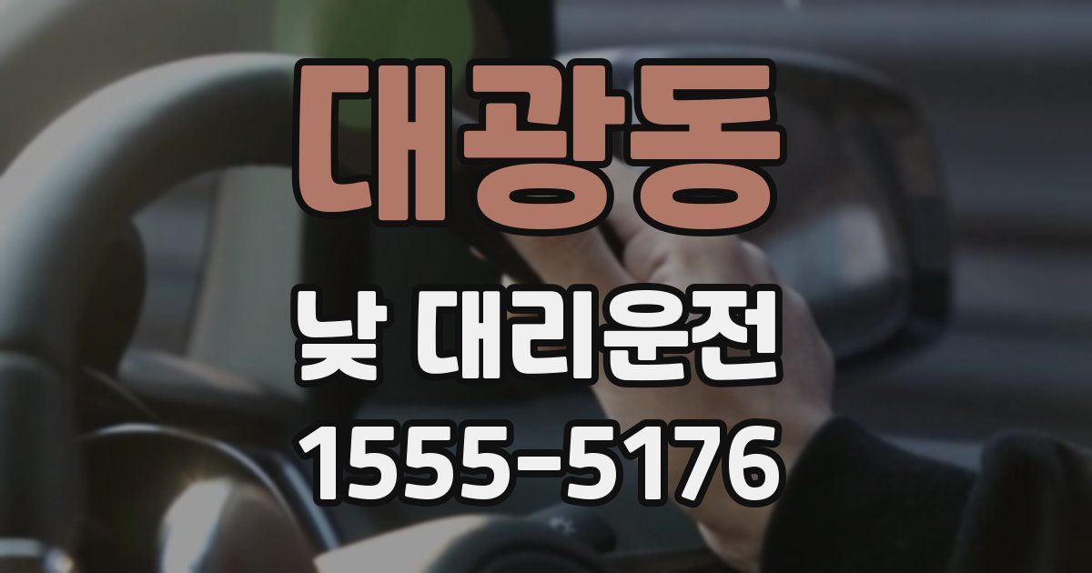 대광동 낮 대리운전