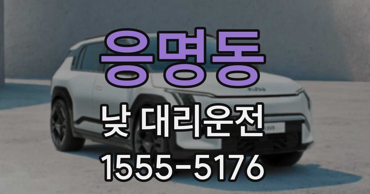 응명동 낮 대리운전