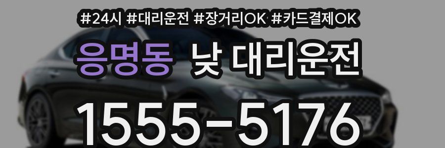 응명동 낮 대리운전