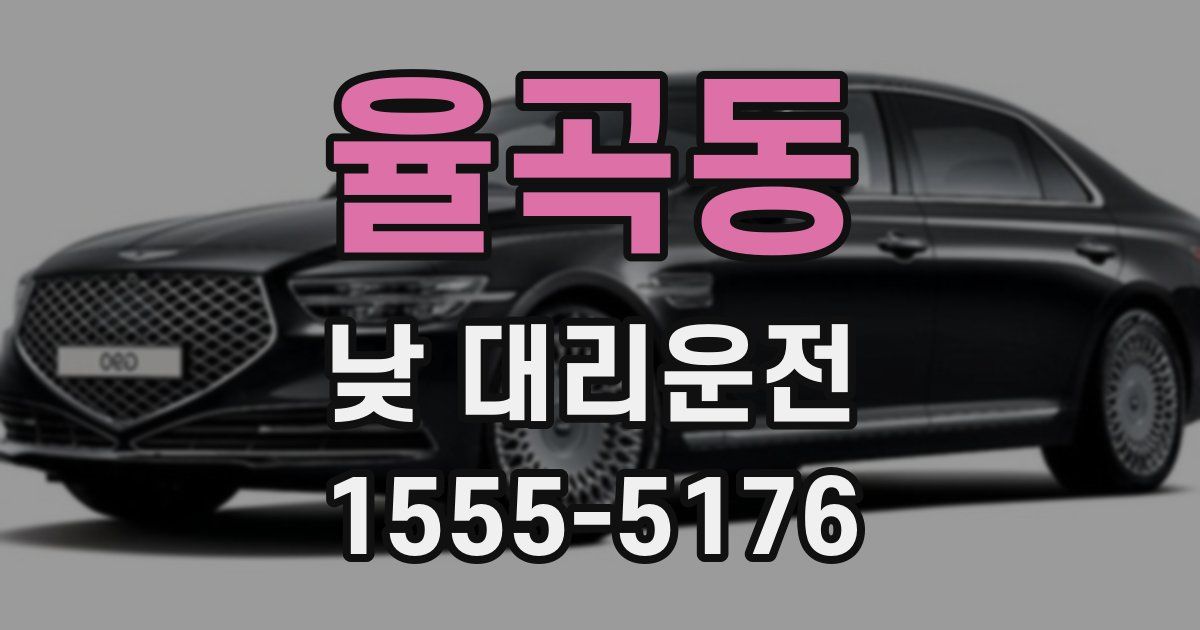 율곡동 낮 대리운전