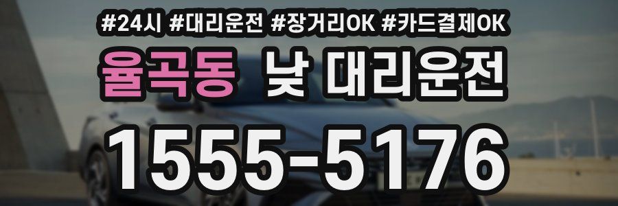 율곡동 낮 대리운전
