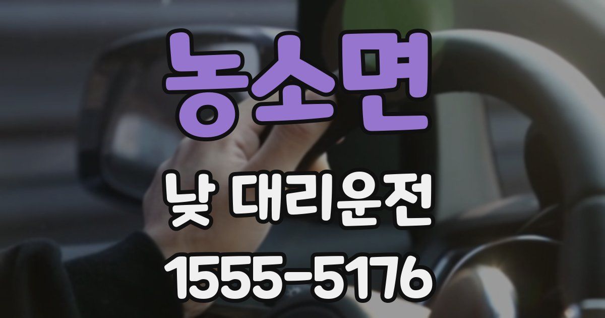 농소면 낮 대리운전