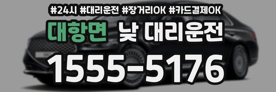 대항면 낮 대리운전