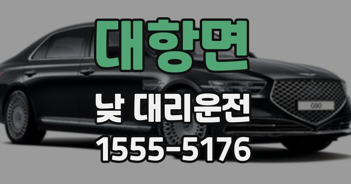 대항면 낮 대리운전