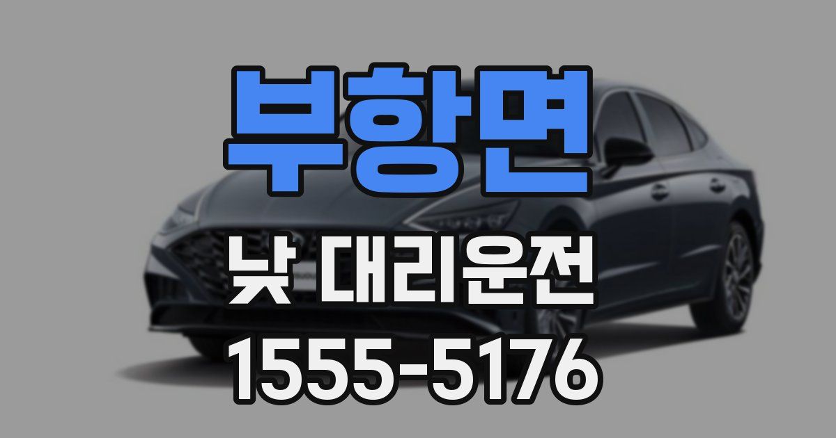 부항면 낮 대리운전