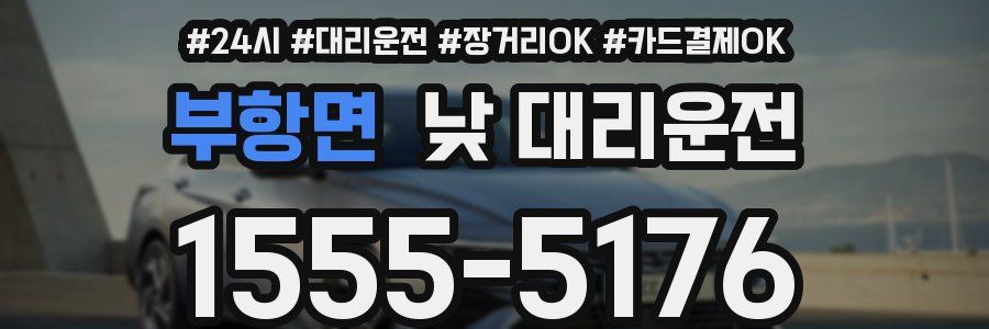 부항면 낮 대리운전