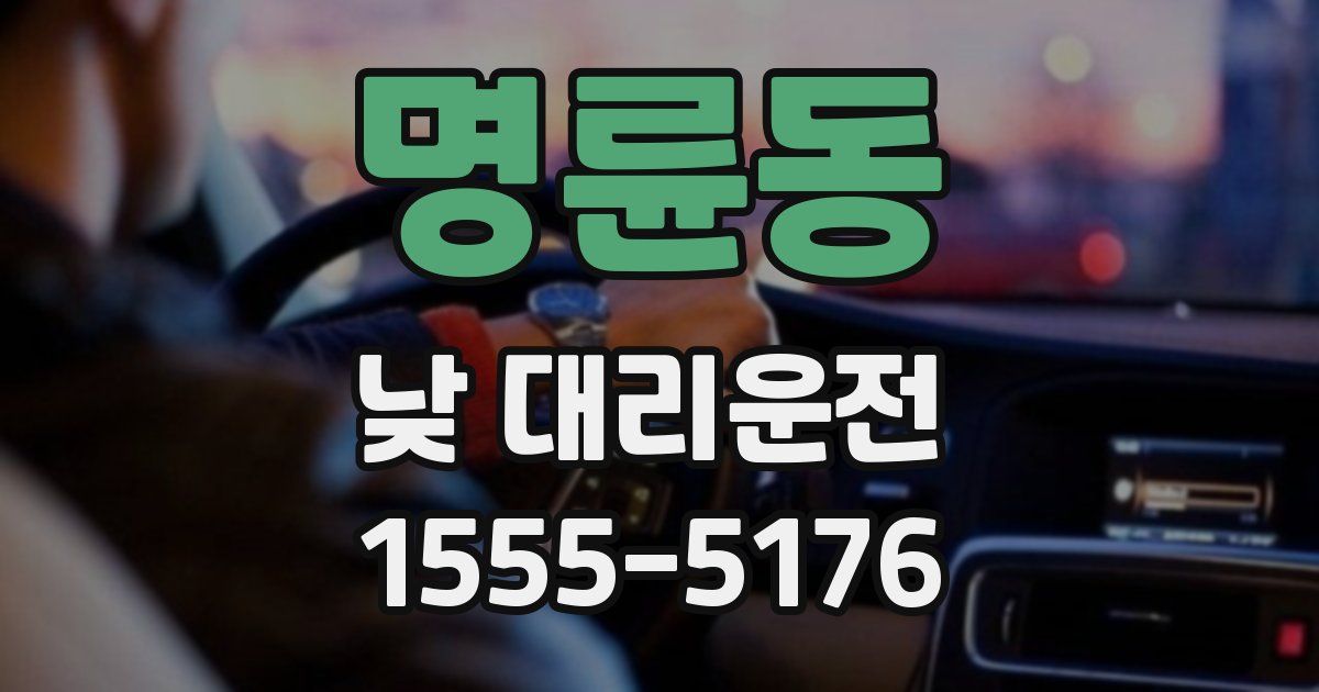 명륜동 낮 대리운전