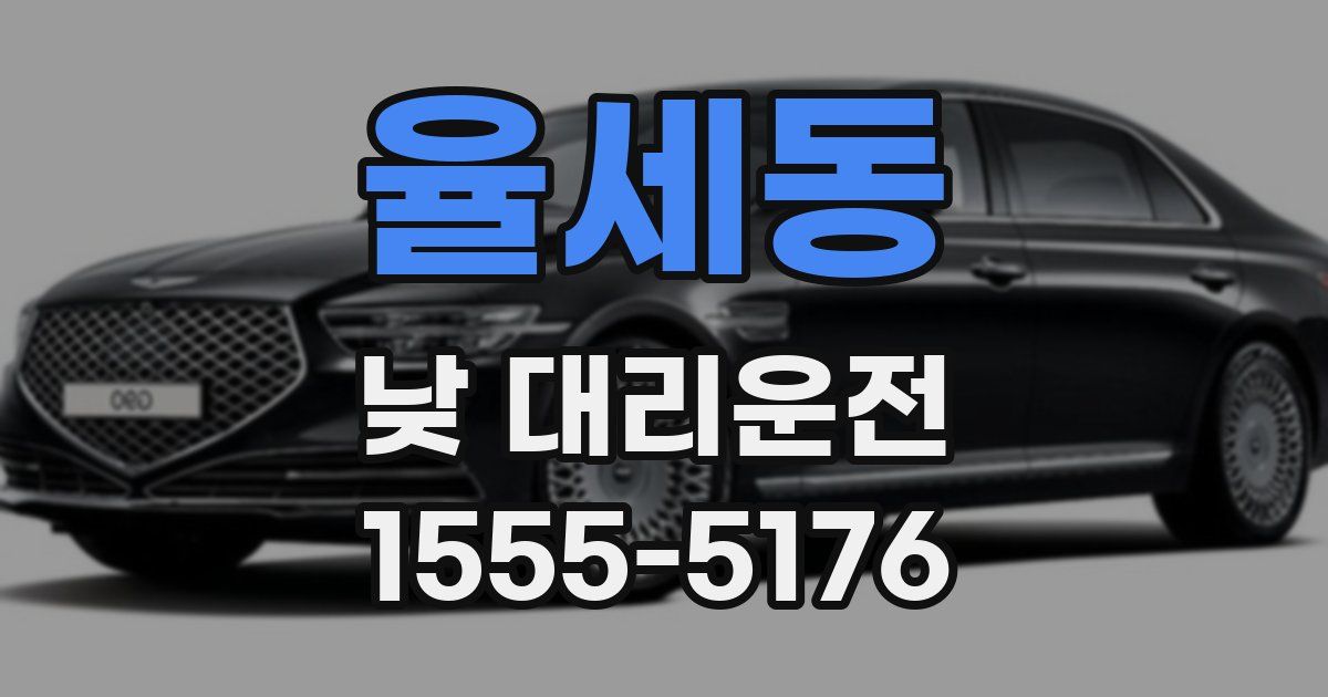 율세동 낮 대리운전