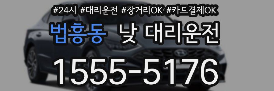법흥동 낮 대리운전