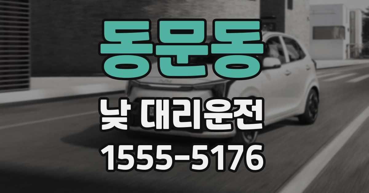 동문동 낮 대리운전