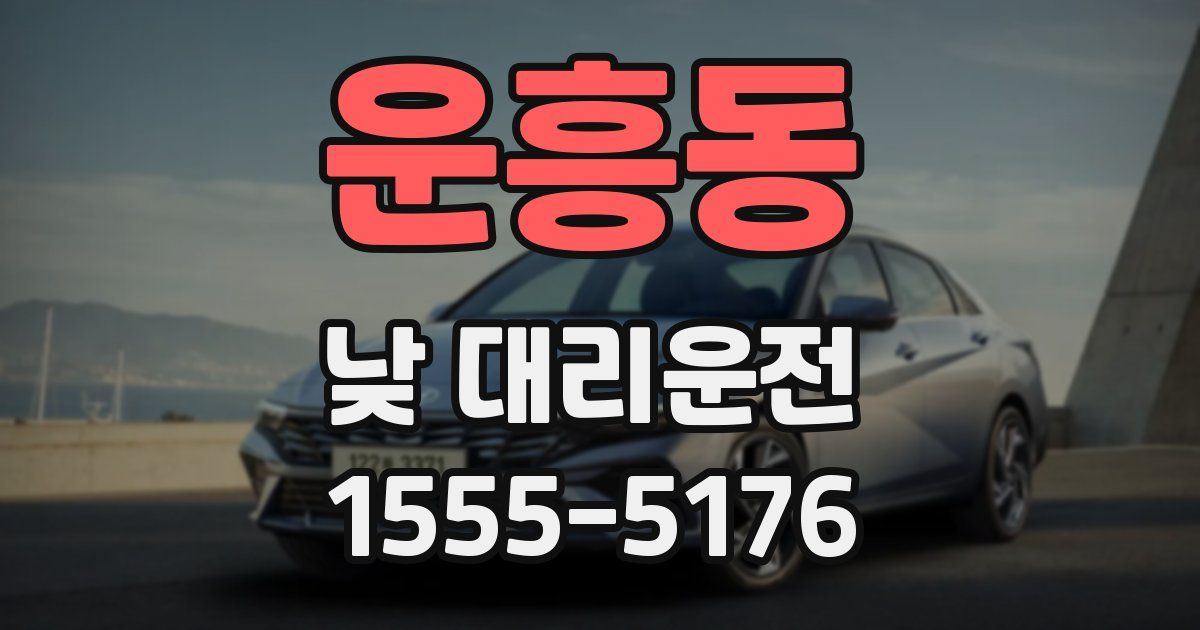 운흥동 낮 대리운전