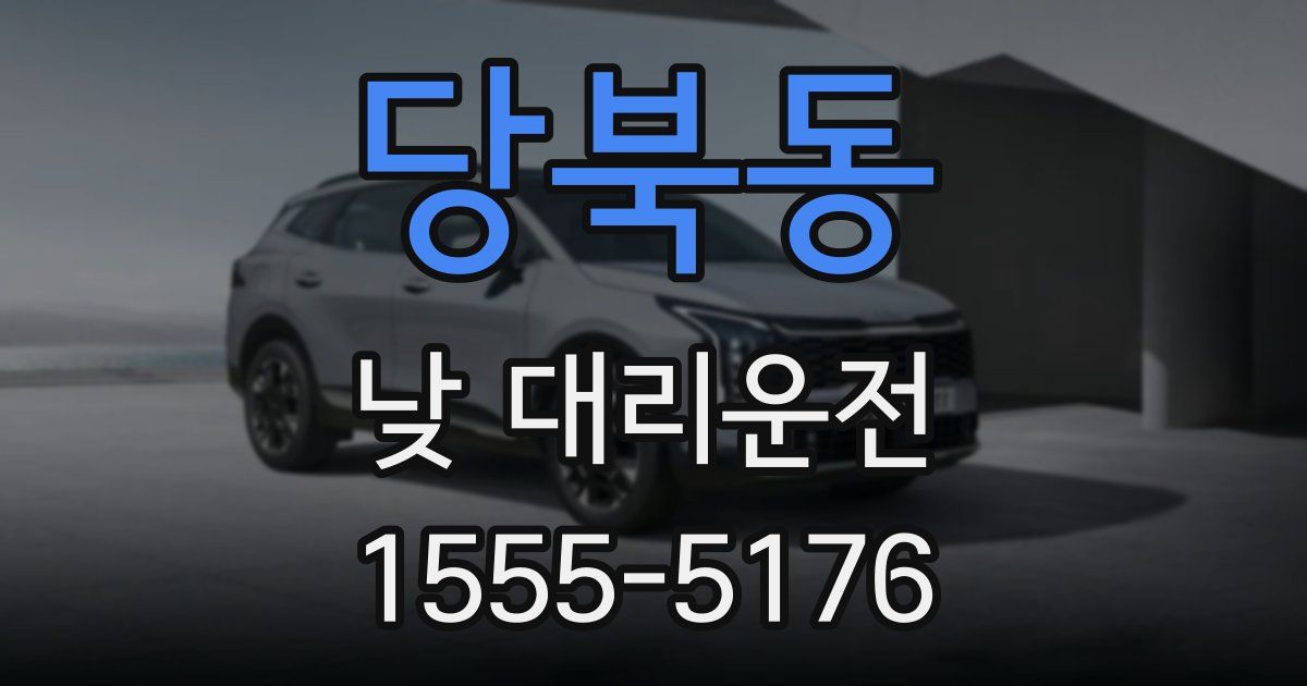 당북동 낮 대리운전