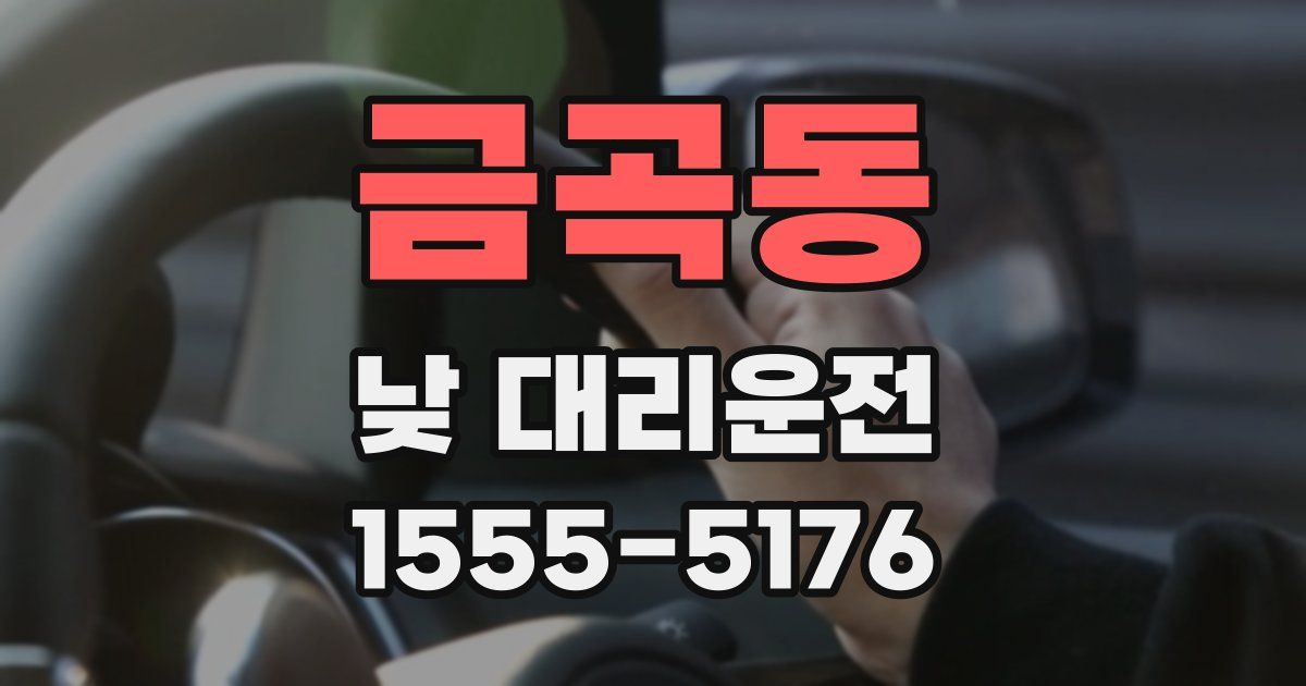 금곡동 낮 대리운전